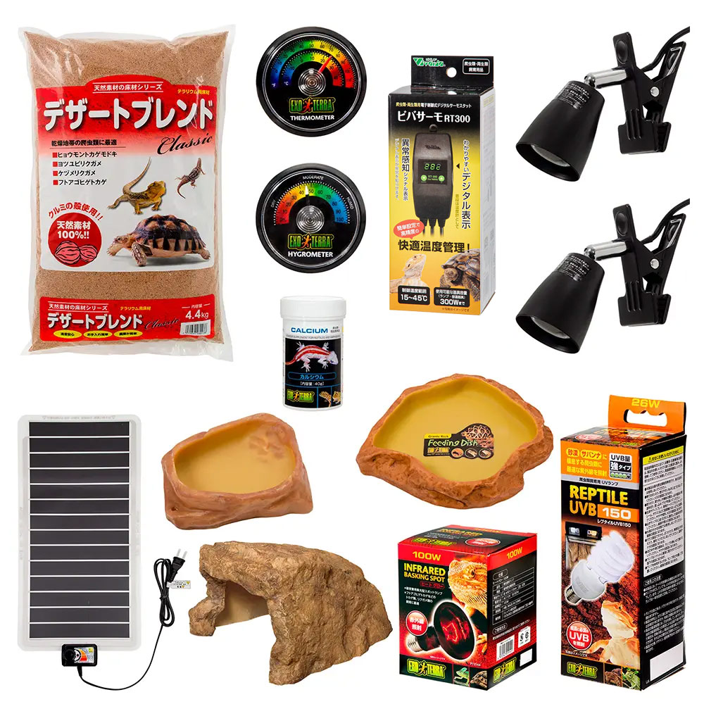 楽天市場】フトアゴヒゲトカゲ飼育セット サーモスタット付き