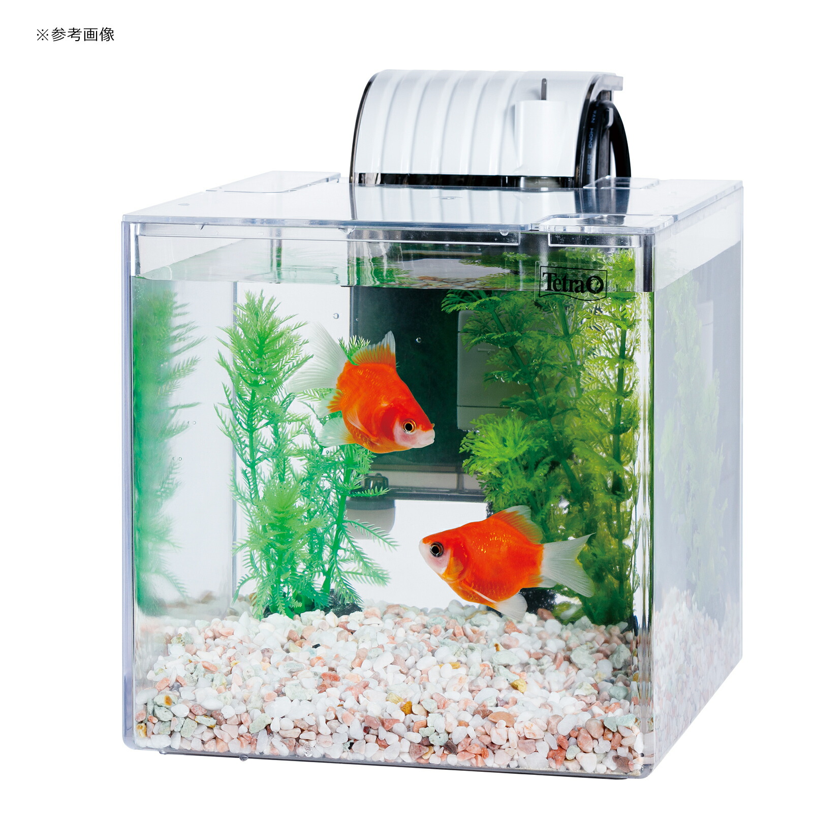 楽天市場】テトラ おさかな飼育 静かなセット PL−17SF 17