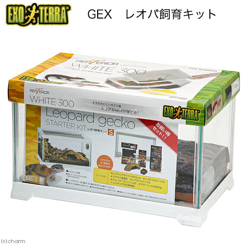 楽天市場】GEX レオパ飼育キット S 関東当日便 : charm 楽天市場店