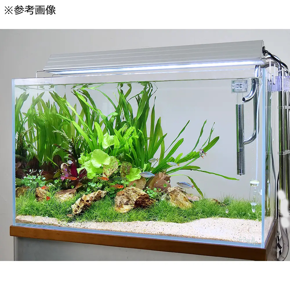 楽天市場】【3／1限定】当選確率2分の1！1等最大100％ ガラス