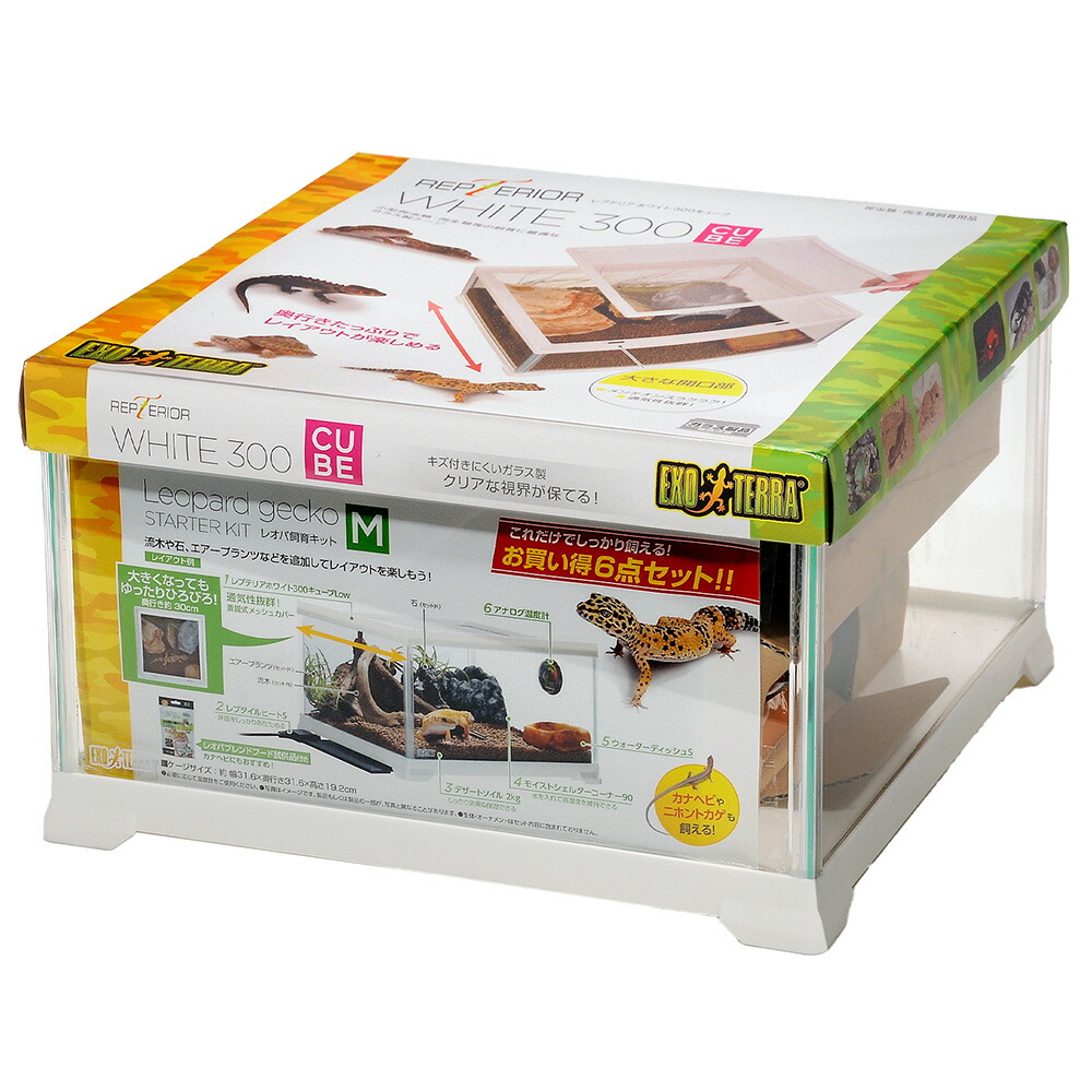 楽天市場】GEX エキゾテラ レオパ飼育キットM お一人様2点限り
