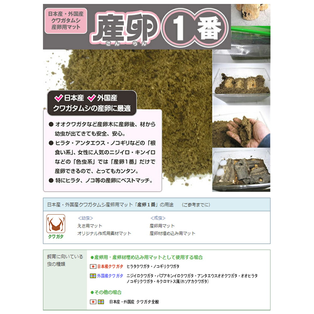 楽天市場】【3／1限定】当選確率2分の1！1等最大100％ 産卵一