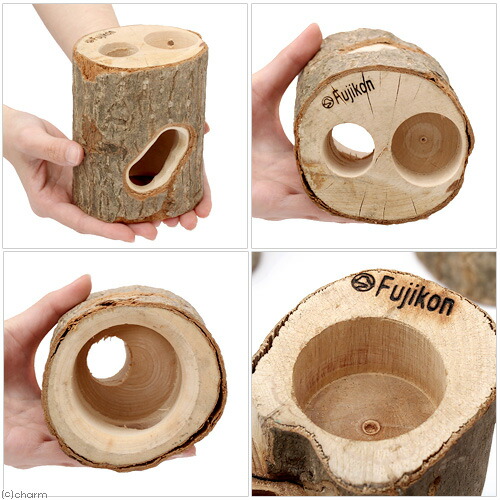 クワリウム 特大サイズ シェルター 登り木 エサ台 Amazon.co.jp