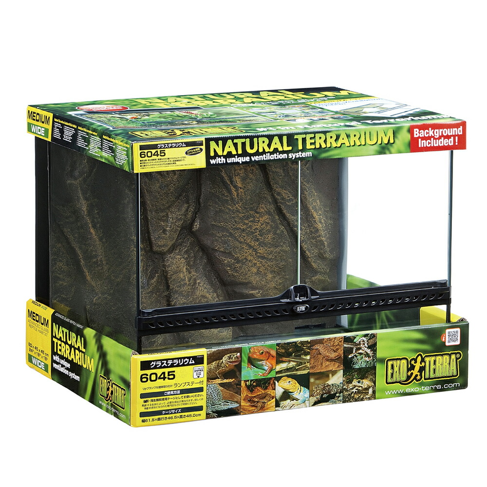 楽天市場】グラステラリウム エキゾテラ 4560の通販