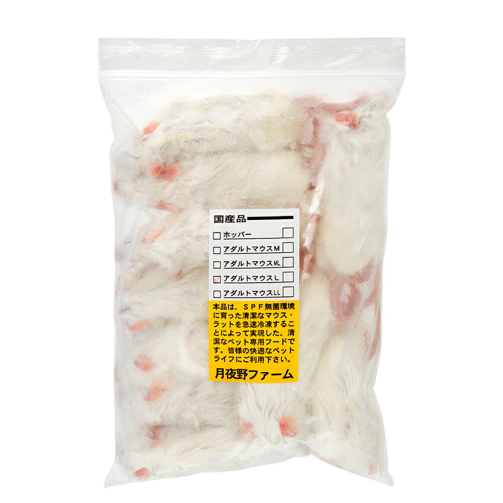 楽天市場】冷凍マウスの通販