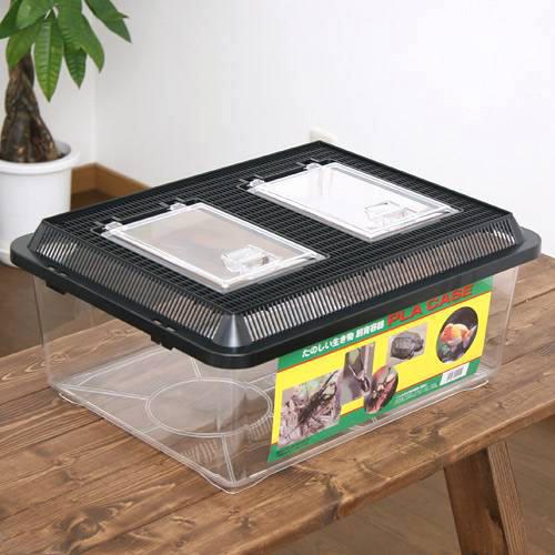 楽天市場】【3／1限定】当選確率2分の1！1等最大100％ プラ