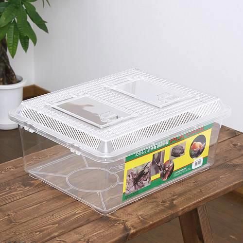 楽天市場】プラケース 飼育容器 特大フラット クリア（430×340