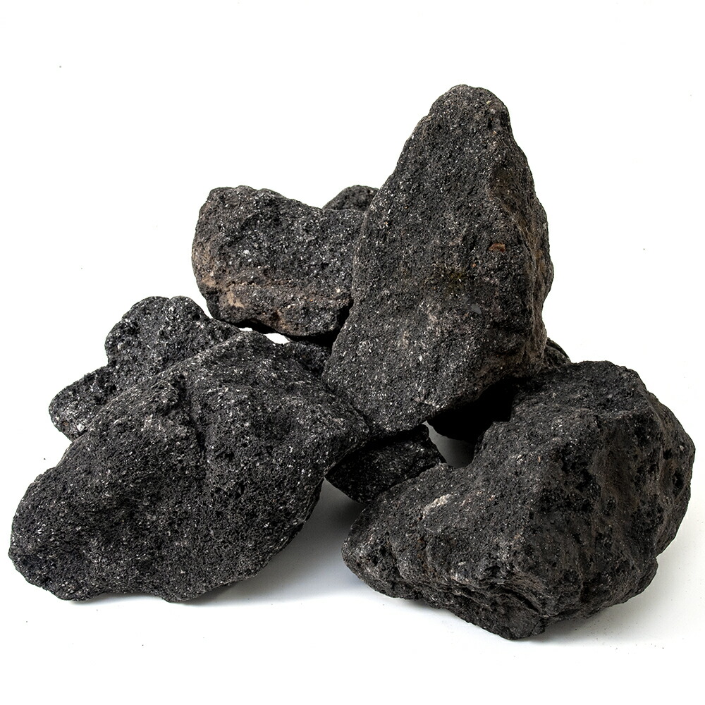 楽天市場】【3／1限定】当選確率2分の1！1等最大100％ 形状お