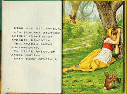 楽天市場】レディバード図書館【在庫あり即納可】アウトレット 特価