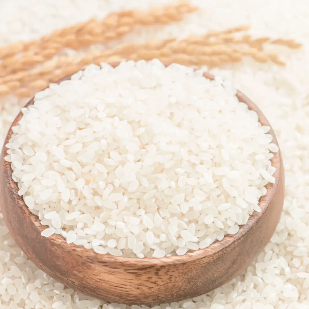 楽天市場】NEW 桑の葉美人 青汁(抹茶風味) 正規品 機能性表示食品