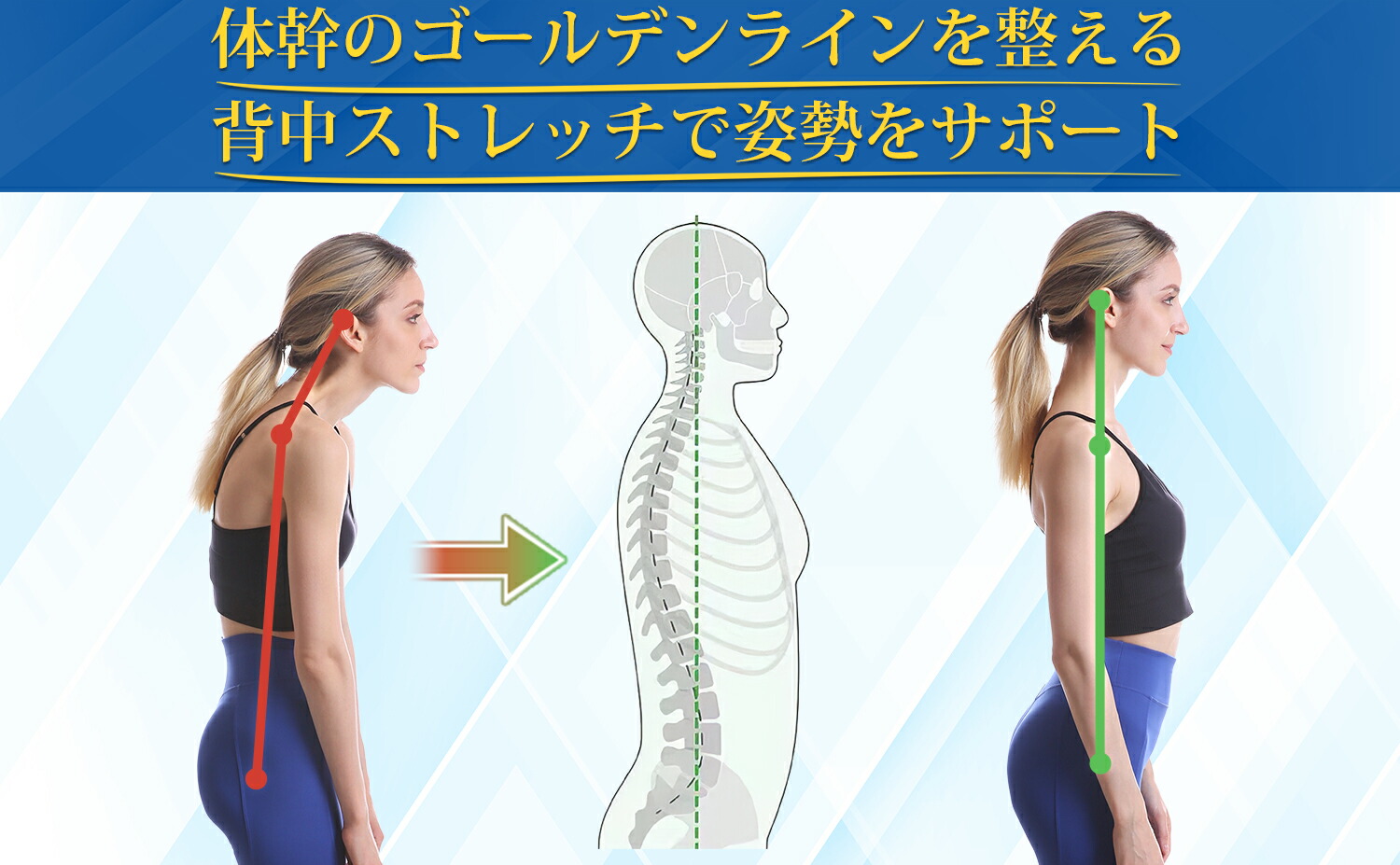 楽天市場】【シリーズ累計販売10万個突破！】 背中 肩甲骨 猫背 姿勢