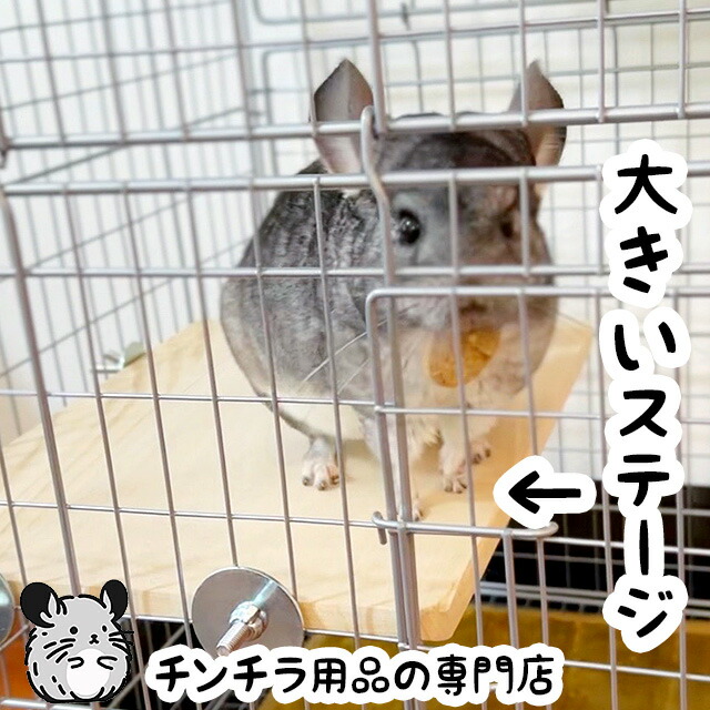 楽天市場】チンチラもふもふ共和国 ひろびろ木製コーナーステージ 中