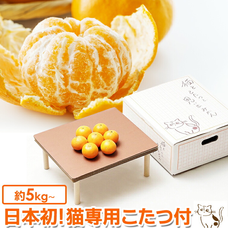 楽天市場】『 猫と、こたつと、思い出みかん。』日本初 猫専用こたつ付