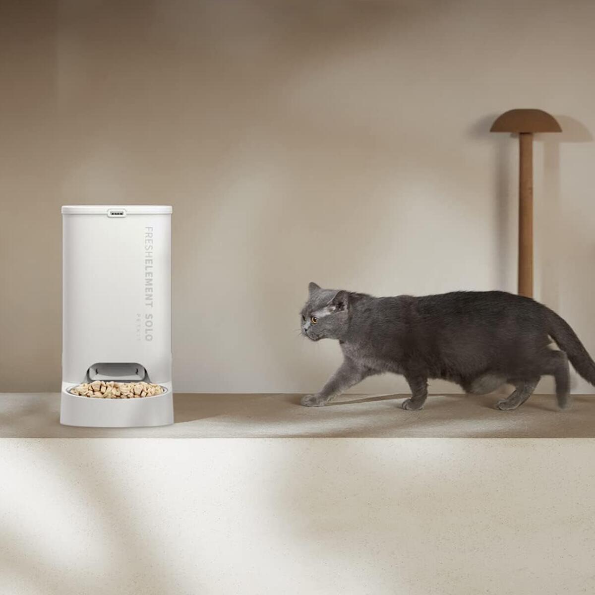 楽天市場】＼10%オフ／ 自動給餌器 (カメラなし) 【PETKIT SOLO
