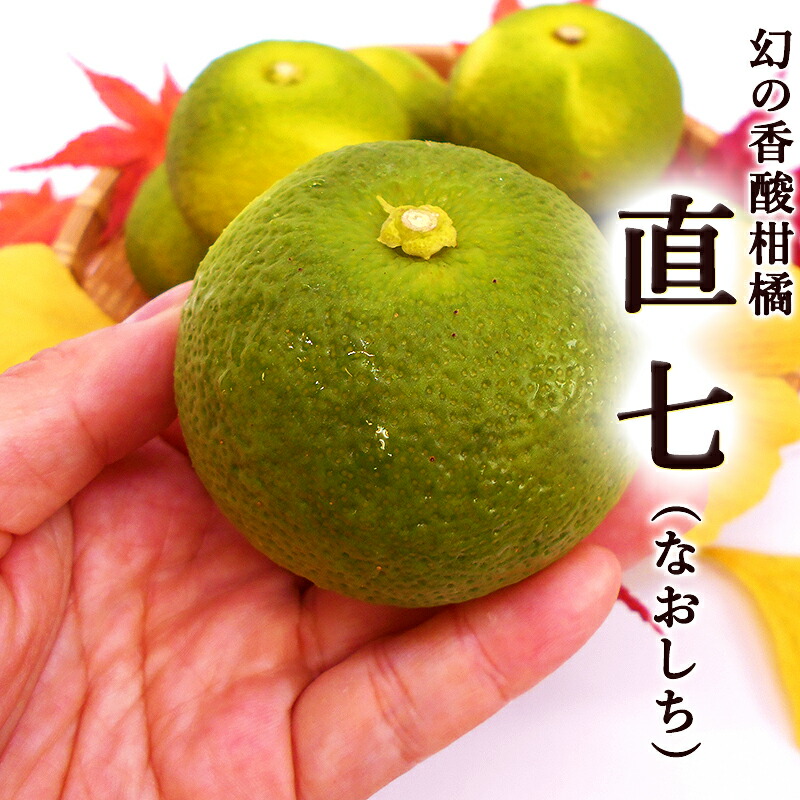 楽天市場】直七 なおしち 約1kg 高知産 6〜14玉ほど 土佐の酢みかん 直