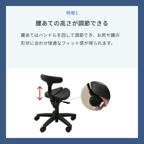 楽天市場】【送料無料】 アーユル・チェアー プレミアムモデル01 腰痛