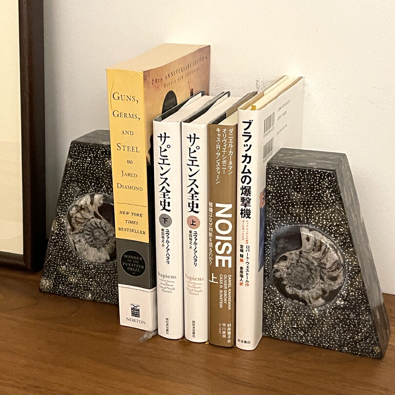 楽天市場】Lサイズ アンモナイト【化石ブックエンド】大理石 ブック