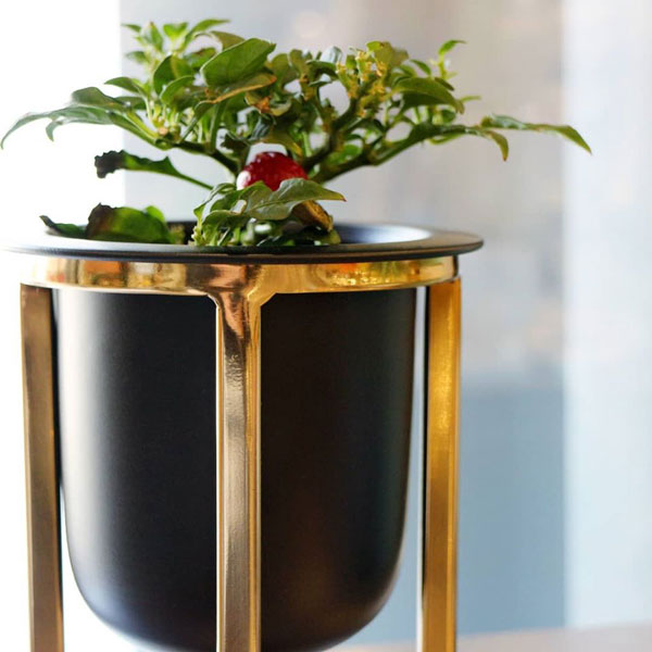 楽天市場】CLOVER(クローバー) アイアンプランター ウィズゴールド