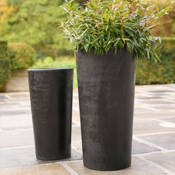 楽天市場】D&M(ディーアンドエム) ウェッジポット H57 クリーム