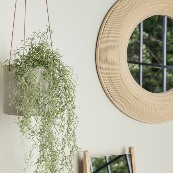 楽天市場】Hubsch(ヒュプシュ) エアロハンギングポット Φ17 ホワイト