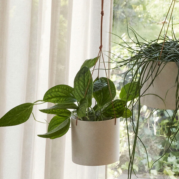 楽天市場】Hubsch(ヒュプシュ) エアロハンギングポット Φ17 ホワイト