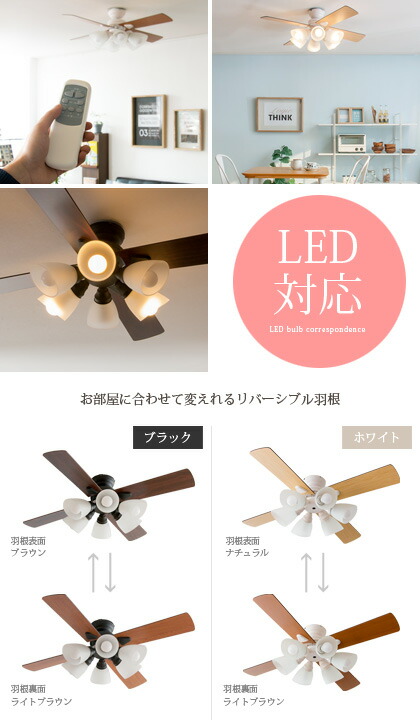 楽天市場】【3/1限定！全品5％OFFクーポン配布中】 シーリングファン