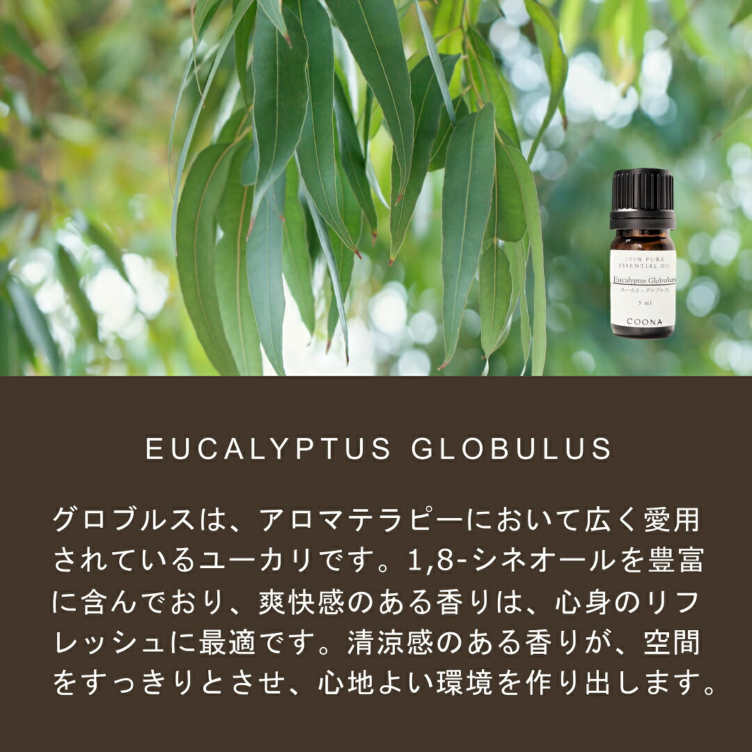 楽天市場】ユーカリ 3種 アロマ セット 精油 アロマオイル