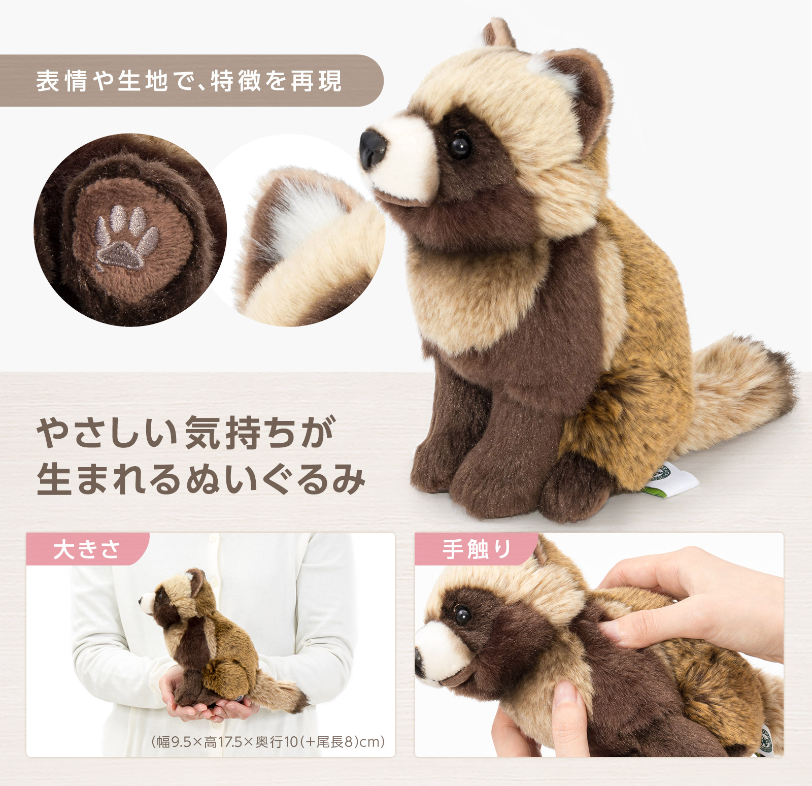 楽天市場】ホンドタヌキ ぬいぐるみ リアルアニマルベイビー ほんど