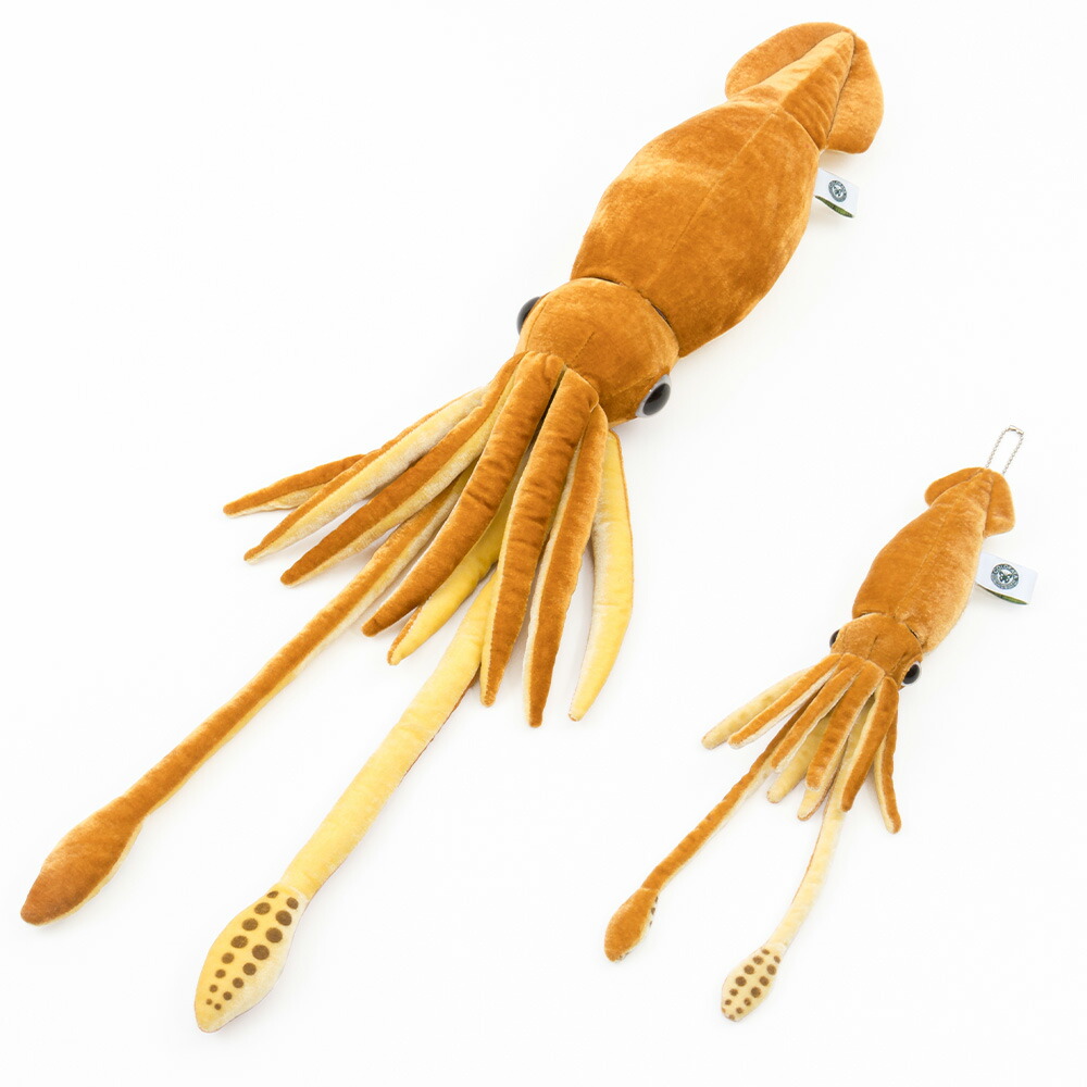 楽天市場】ダイオウイカ Mサイズ ぬいぐるみ 深海生物 | イカ いか