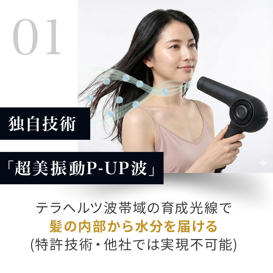 楽天市場】新 ピーアップ クレア ドライヤー 2 ツー NEW 正規 販売代理