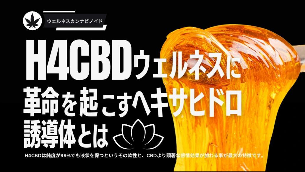 楽天市場 | CBD リキッド専門店 by DEN - H4CBDの謎を解く