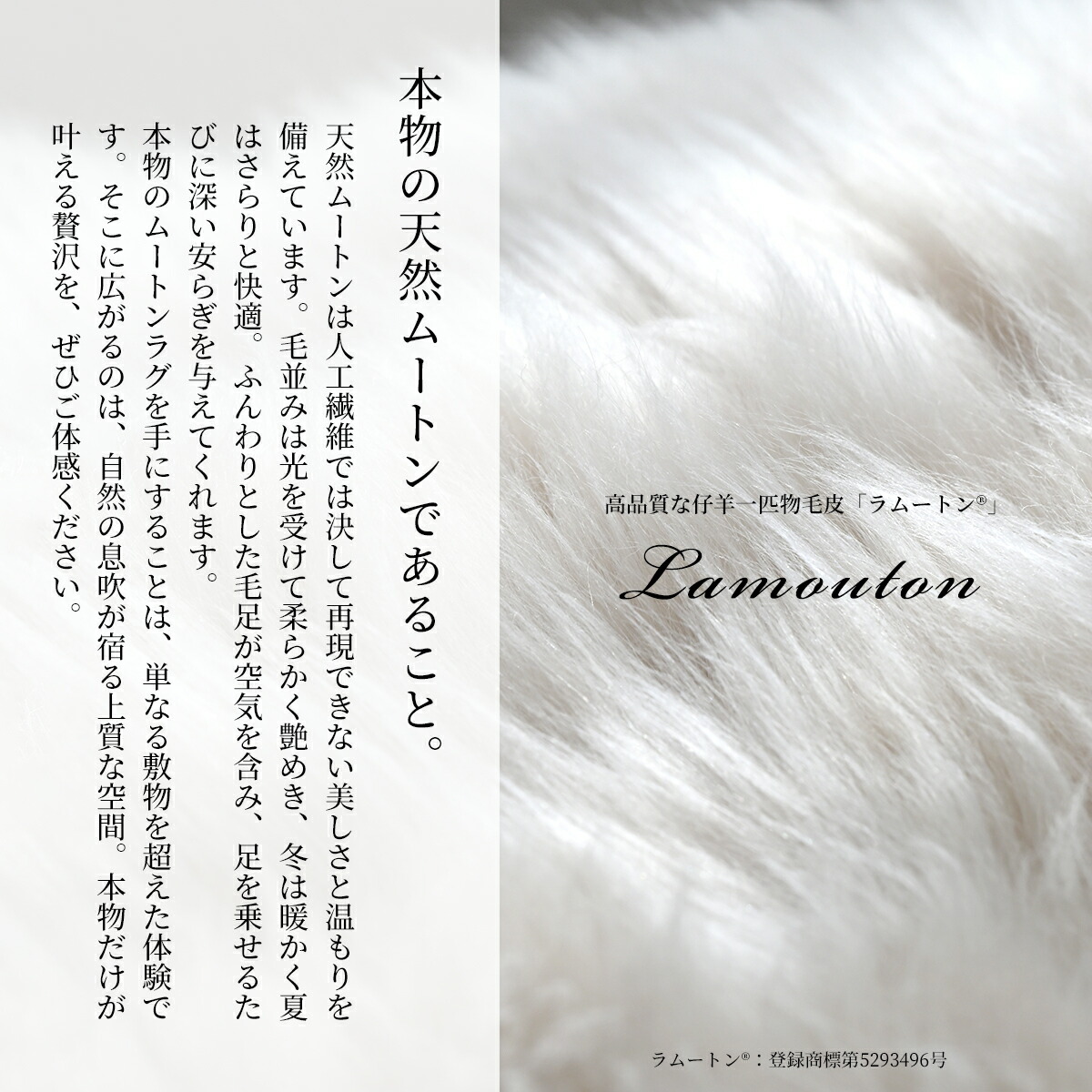 楽天市場】【2点以上10%OFFクーポン】 ムートンラグ 楽天1位獲得 60
