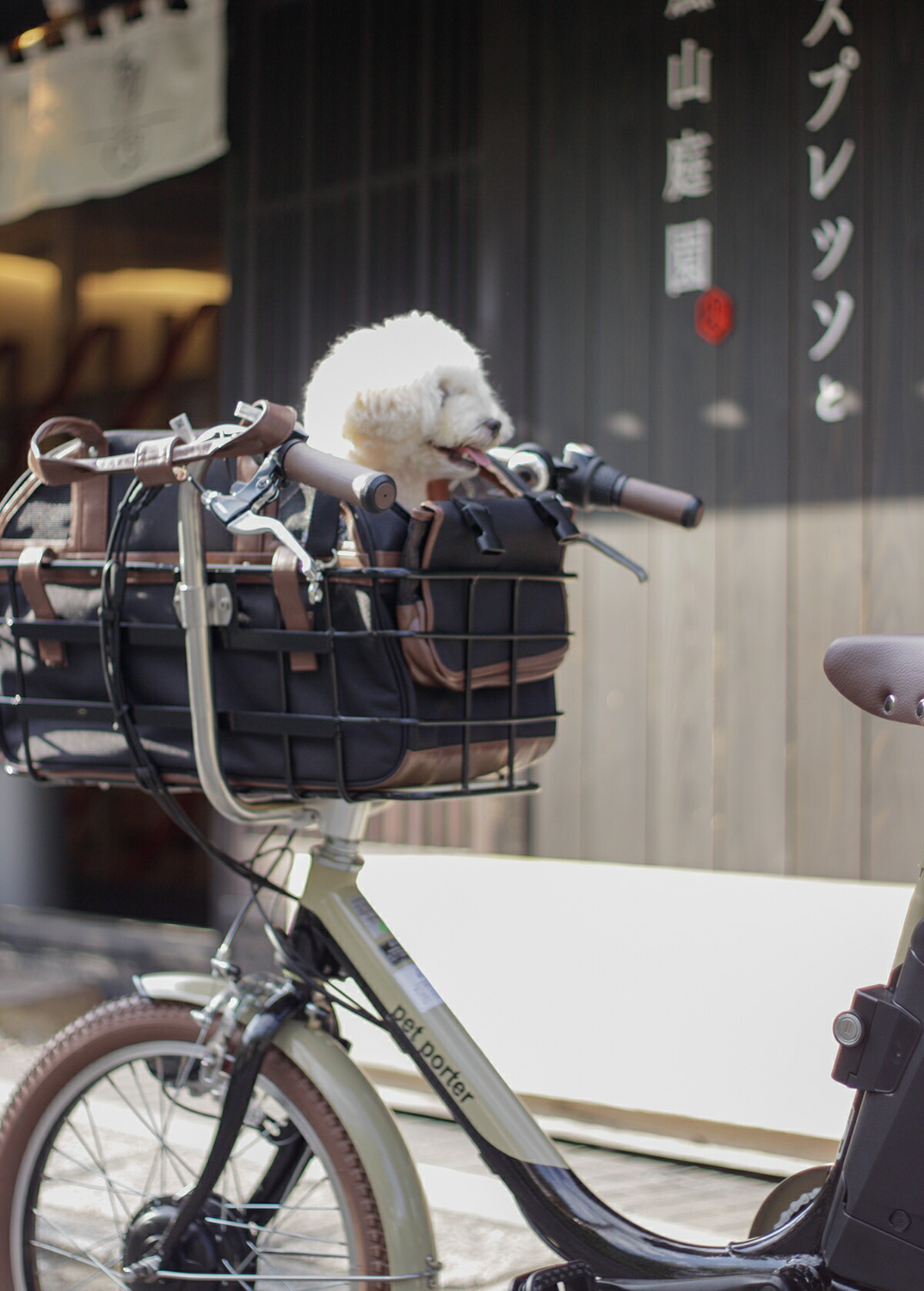 楽天市場】【ポイント最大5倍エントリー要】＊当日発送 平日13時迄注文