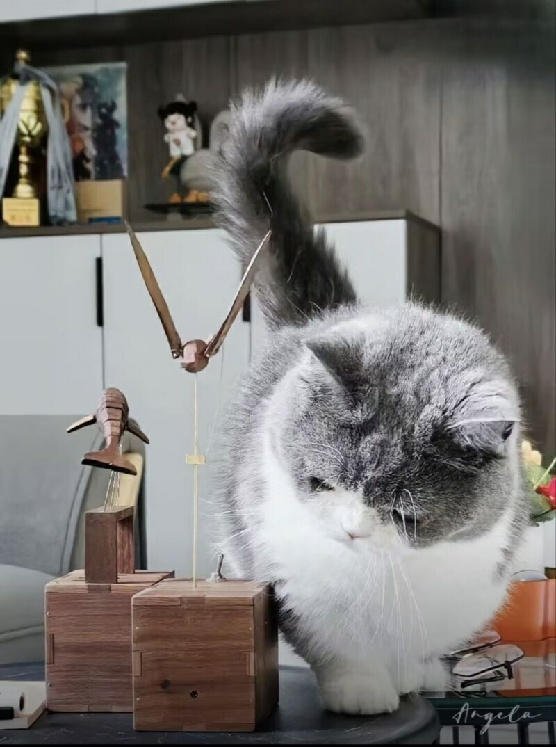 楽天市場】機械式オルゴール クラゲ クジラ 木製クラゲ 装飾 ユニーク