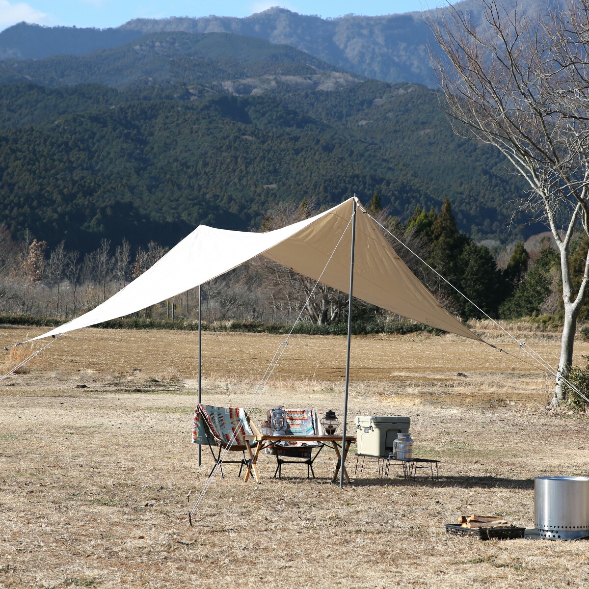 楽天市場】【ポイント5倍 3/1】ノルディスク タープ カーリ