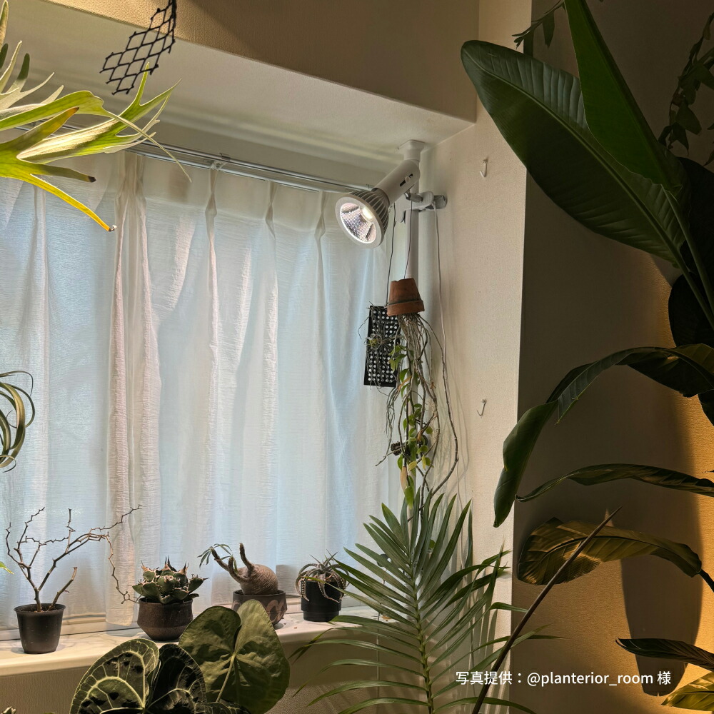 楽天市場】【BARREL公式】NEO TSUKUYOMI LED 20W BLACK EDITION