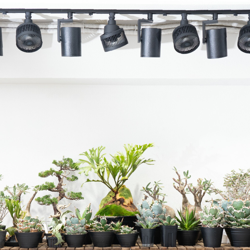 S*Y様 BARREL(バレル) エクメア ムーブ 口金E26 サーキュレーター 植物