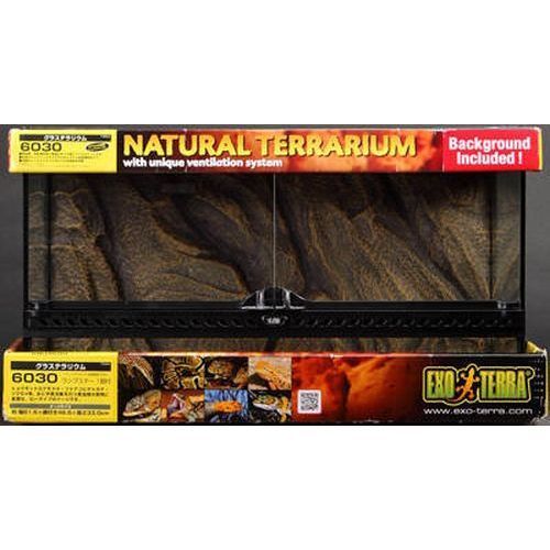 グラステラリウム6030 爬虫類」の人気商品一覧 | 安い商品を通販サイト