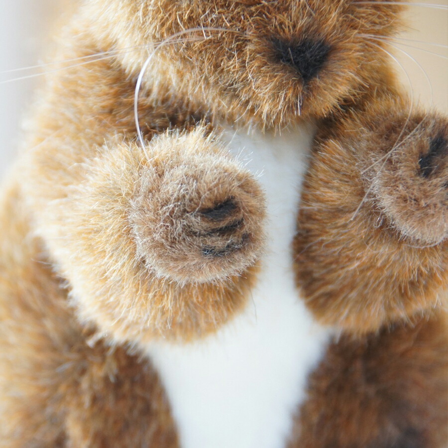 楽天市場】【在庫あり】Kosen ケーセン ドイツ製 ぬいぐるみ りす