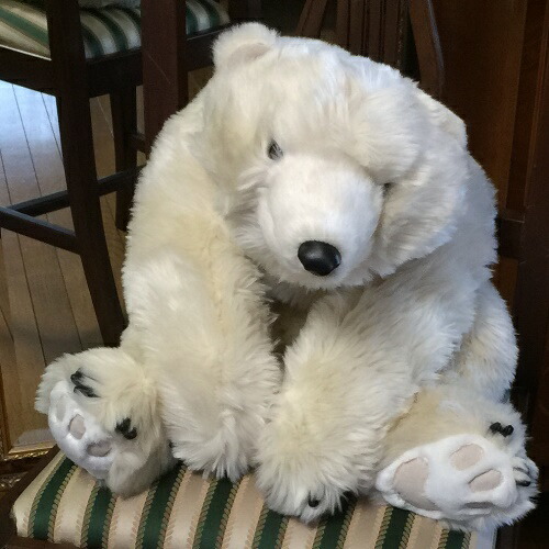 楽天市場】白くま ぬいぐるみ ポーラーベア ハグ 抱き心地の良い