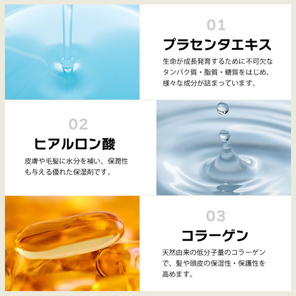 楽天市場】カラートリートメント 【公式】 シュヴーアンサンブル ヘア