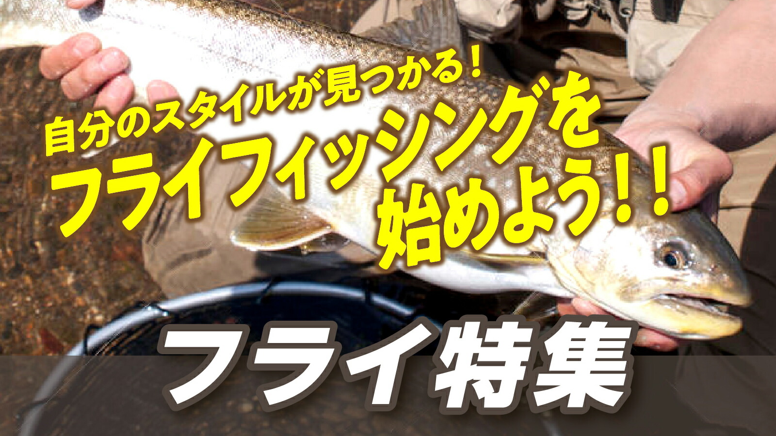 楽天市場 | dn e-shop - フライフィッシング特集