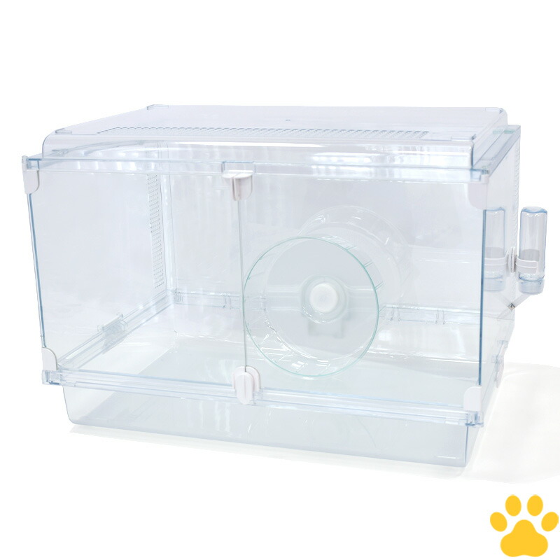 グラスハーモニー 600」の人気商品一覧 | 安い商品を通販サイトから