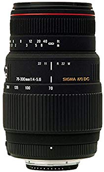 楽天市場】sigma 300mm canonの通販