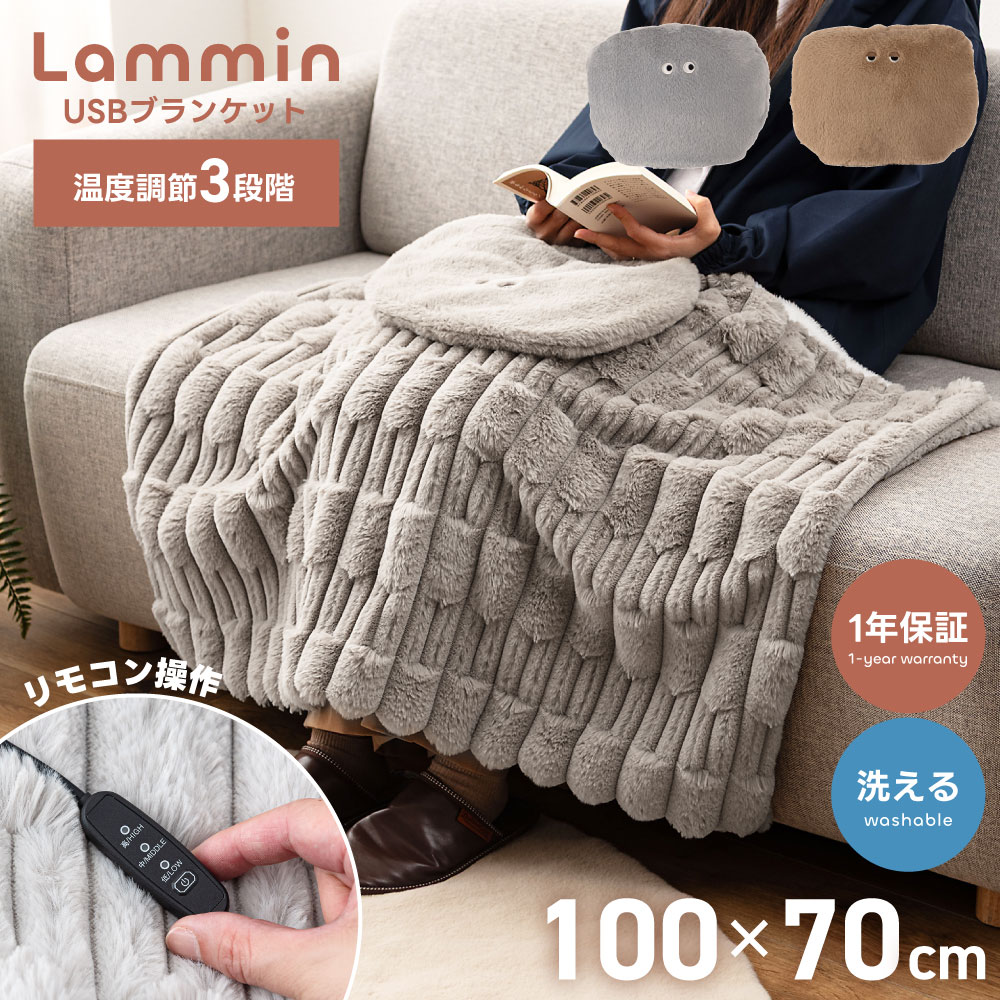 楽天市場】【1年保証付き】 ブランケット USBブランケット リモコン