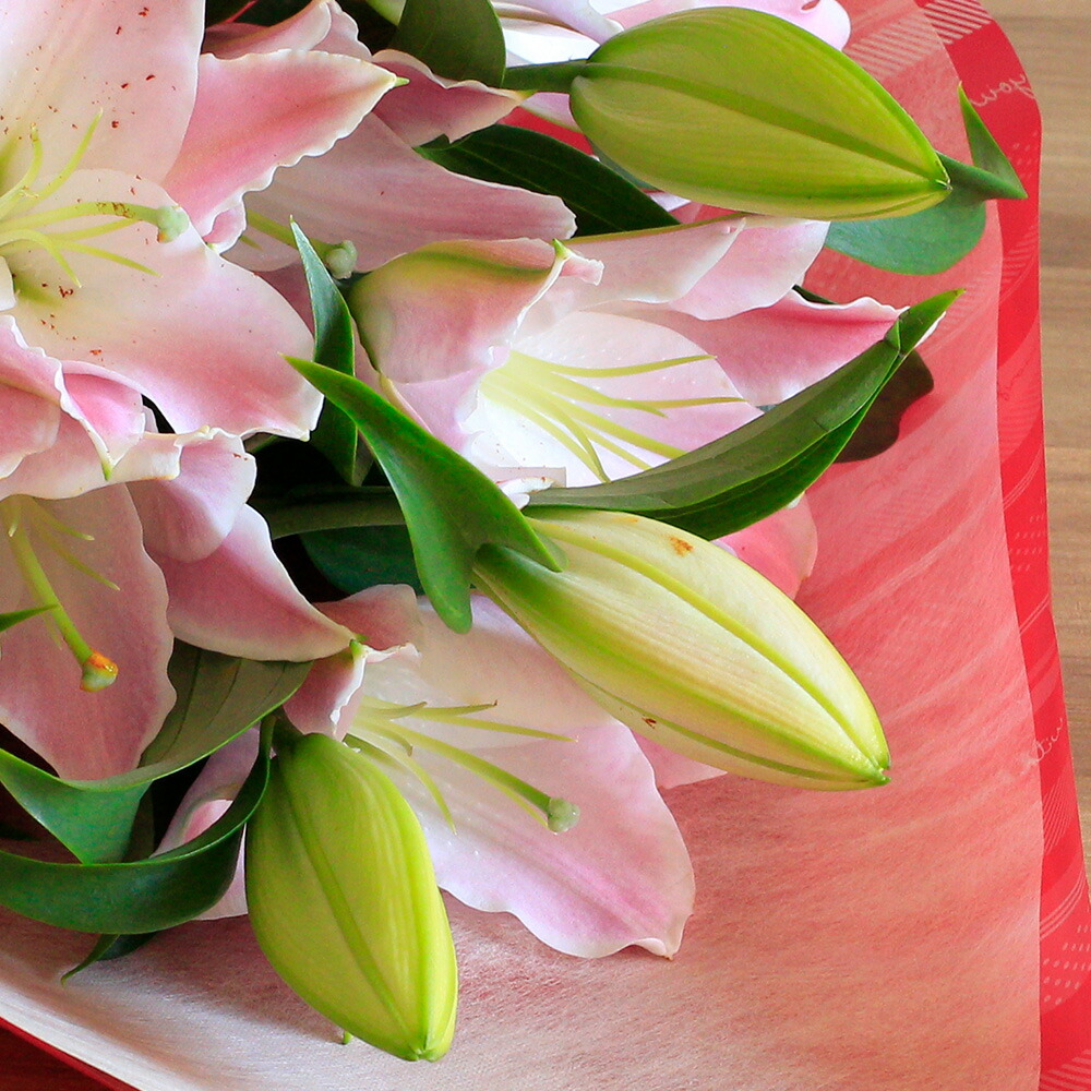 楽天市場】ユリ 花束 百合 オリエンタル ピンク 誕生日 「プレミアム