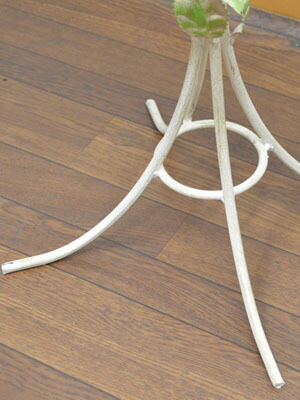 楽天市場】☆倉庫移転の為、総売り尽くしセール！☆ イタリア製 薔薇