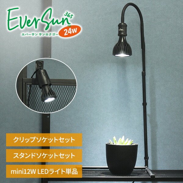 楽天市場】植物育成ライト EVERSUN365 24W クリップ/スタンド/ライト