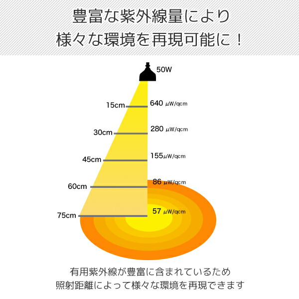 楽天市場】ソラリウム 50Wセット (メタルハライドランプ+共通安定器+