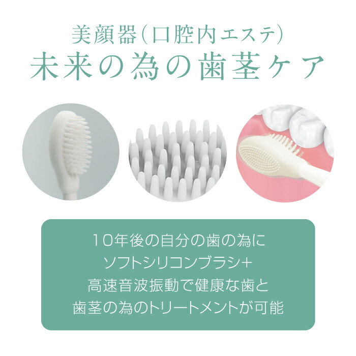 楽天市場】【公式】mous.ORALUMINUS 専用 シリコンブラシ モウズ